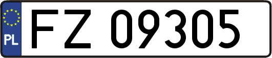 FZ09305