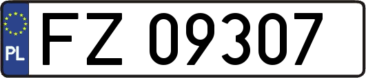 FZ09307
