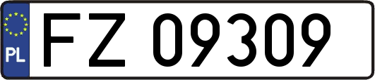 FZ09309