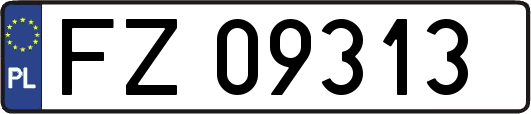 FZ09313