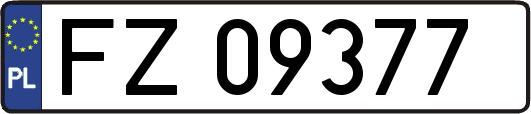 FZ09377