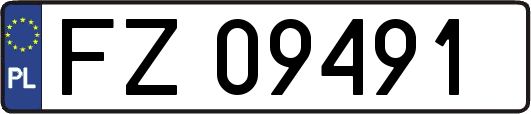 FZ09491