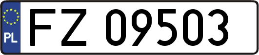 FZ09503