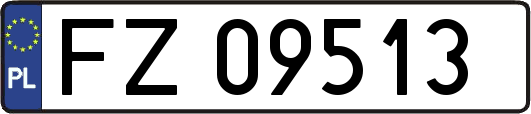FZ09513