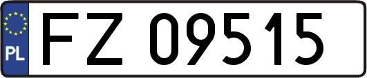 FZ09515