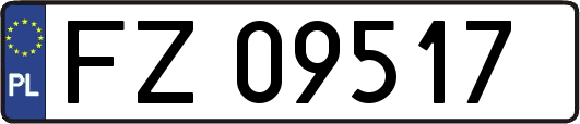 FZ09517