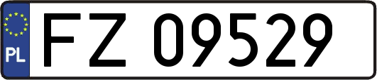FZ09529
