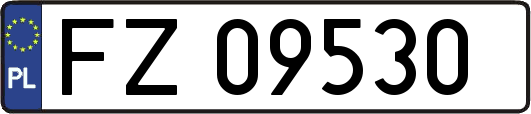 FZ09530