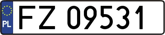 FZ09531