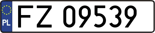 FZ09539