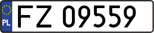 FZ09559