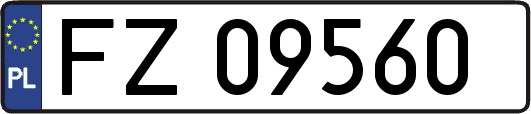 FZ09560