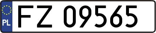 FZ09565
