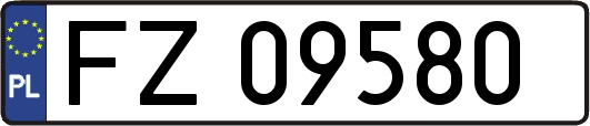 FZ09580