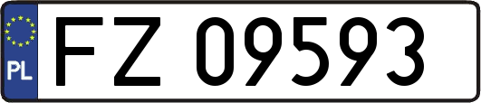 FZ09593