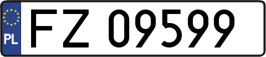 FZ09599