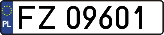 FZ09601