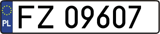 FZ09607