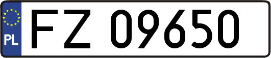 FZ09650