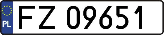 FZ09651