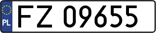 FZ09655