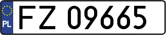 FZ09665