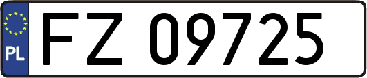 FZ09725