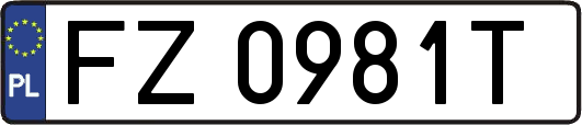 FZ0981T