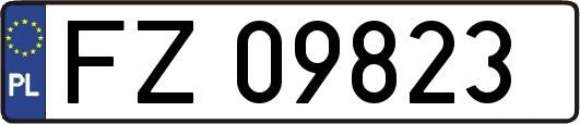 FZ09823
