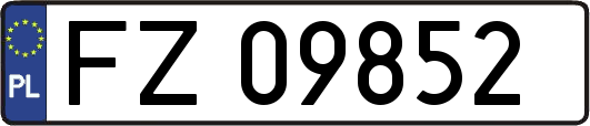 FZ09852