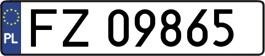 FZ09865