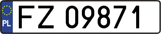 FZ09871