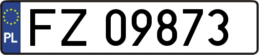 FZ09873