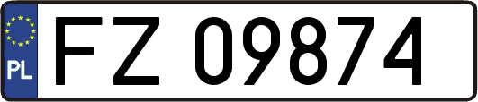 FZ09874