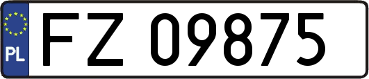 FZ09875