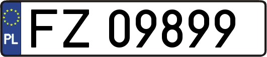 FZ09899