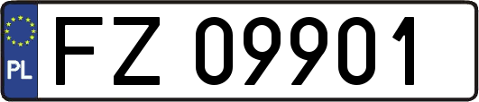 FZ09901