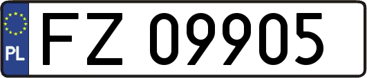 FZ09905