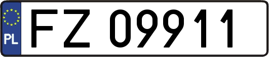 FZ09911