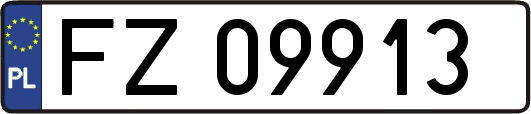 FZ09913