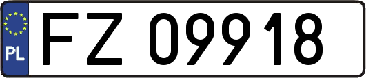 FZ09918