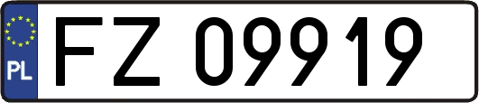 FZ09919