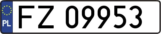 FZ09953