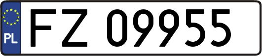 FZ09955
