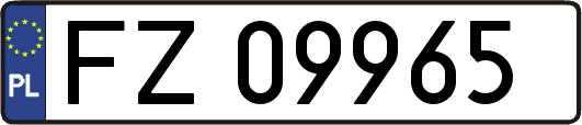 FZ09965
