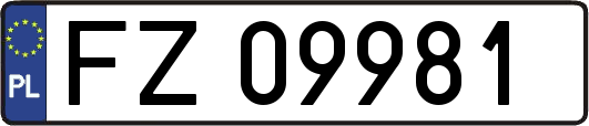 FZ09981