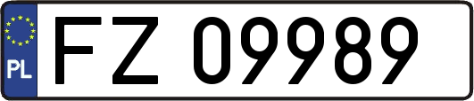 FZ09989