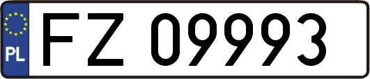 FZ09993
