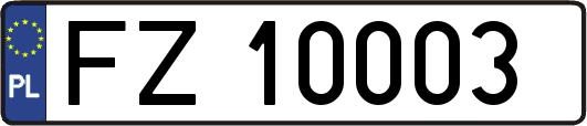 FZ10003