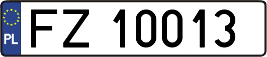 FZ10013
